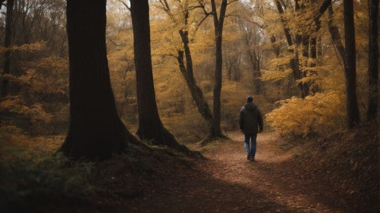 Secluded man walking through autumn forest, symbolizing recovery and new beginnings in drug detox and rehab journeys.